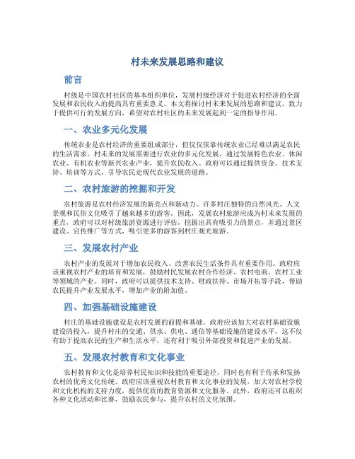 村未来发展思路和建议