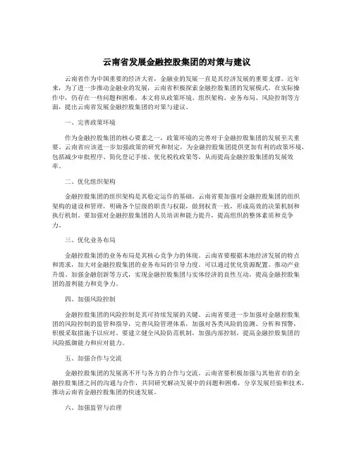 云南省发展金融控股集团的对策与建议