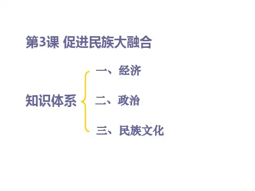 促进民族大融合PPT课件
