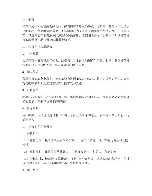 榨菜社会实践报告