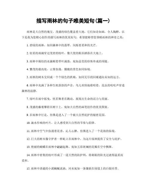 描写雨林的句子唯美短句(精选两篇)