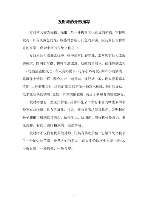发财树的外形描写