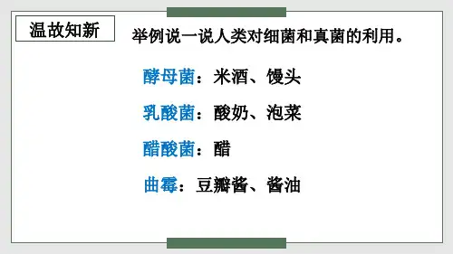第五章病毒课件人教版生物八年级上册