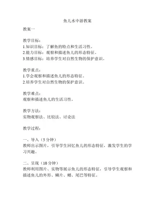 鱼儿水中游教案