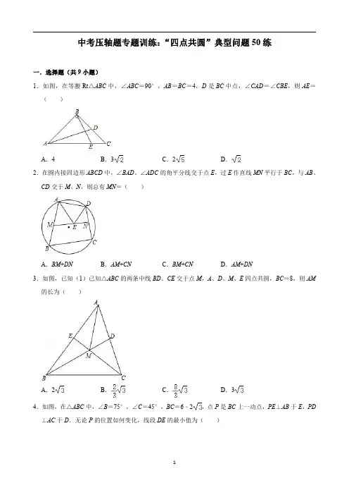 中考数学专项训练1 四点共圆