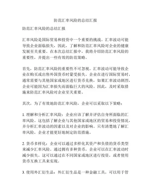 防范汇率风险的总结汇报