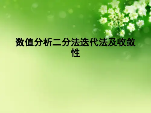 数值分析二分法迭代法及收敛性优秀课件