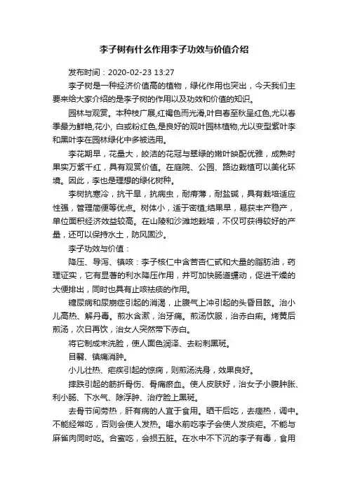 李子树有什么作用李子功效与价值介绍