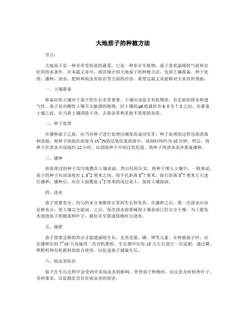 大地茄子的种植方法