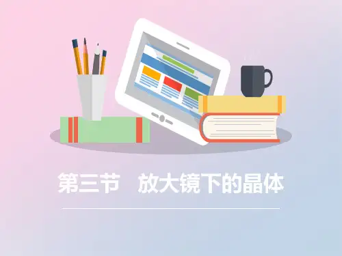 2021年《放大镜下的晶体》微小世界PPT下载文档