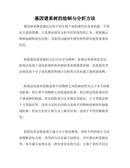 基因谱系树的绘制与分析方法