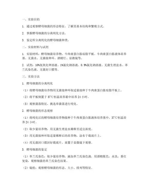 酵母细菌实验报告