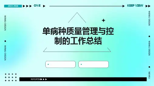 单病种质量管理与控制的工作总结PPT