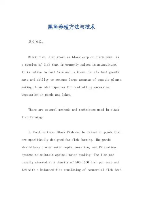 黑鱼养殖方法与技术