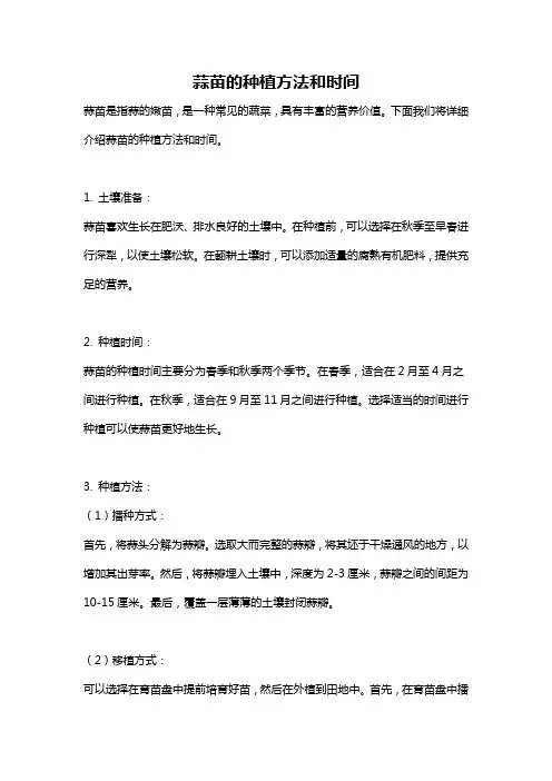 蒜苗的种植方法和时间