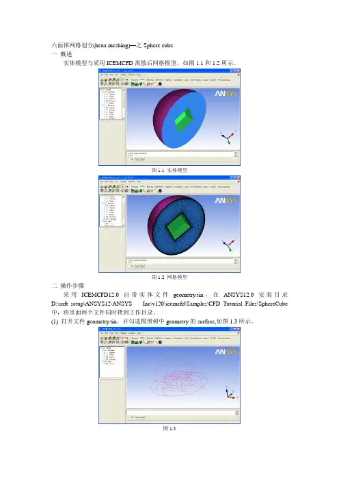 ICEM SphereCube网格划分教程