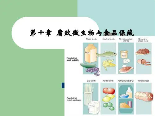 第十章腐败微生物与食品保藏