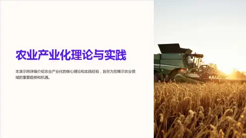 农业产业化理论与实践
