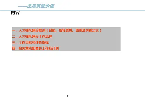 人才梯队建设实施方案