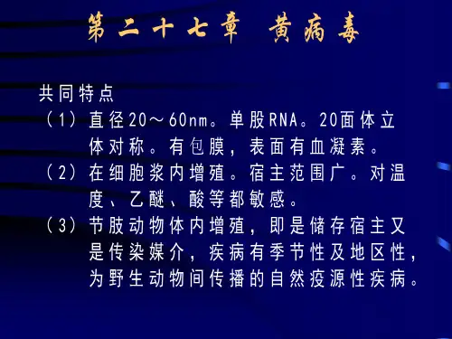 [正式版]微生物检验ppt资料