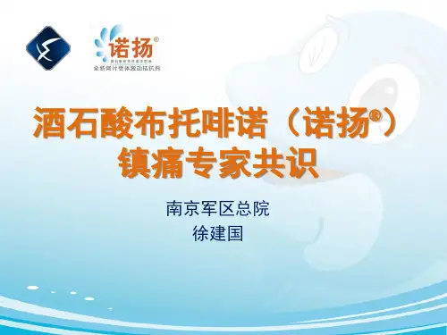 酒石酸布托啡诺(诺扬-)镇痛专家共识-徐建国