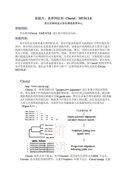 多序列比对