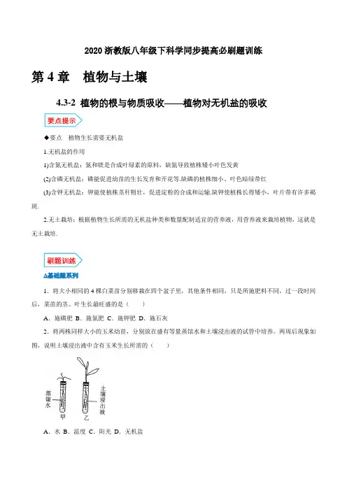 4.3.2植物的根与物质吸收——植物对无机盐的吸收(原卷版+解析)