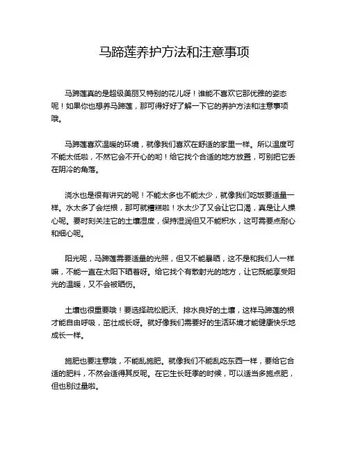 马蹄莲养护方法和注意事项