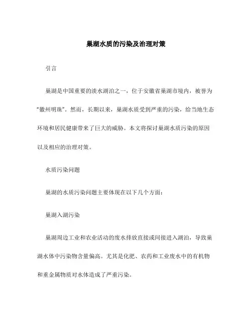 巢湖水质的污染及治理对策