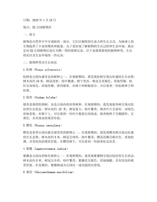观察植物记录