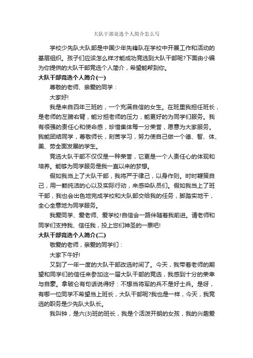 大队干部竞选个人简介怎么写_个人简历范文