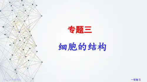 2023届高三生物一轮复习课件专题三 细胞的结构