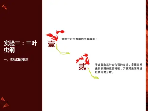 古生物学与地史学总复习