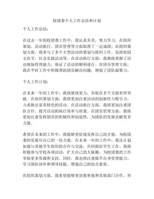 校团委个人工作总结和计划