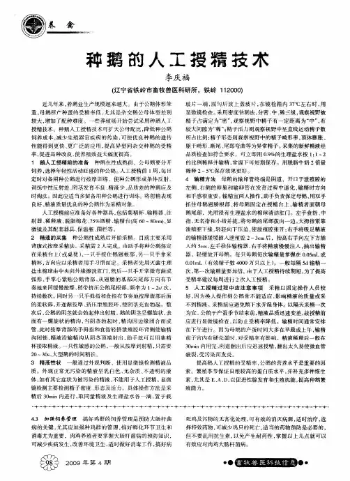 种鹅的人工授精技术