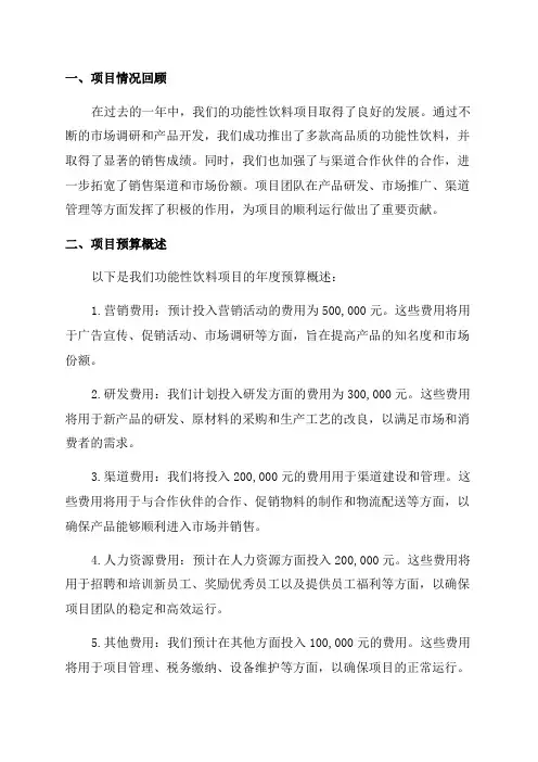 功能性饮料项目年度预算报告