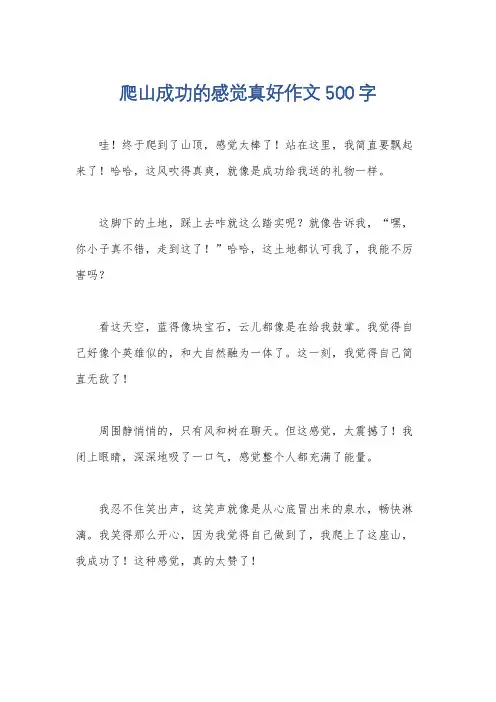 爬山成功的感觉真好作文500字