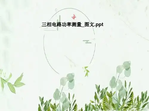 三相电路功率测量-图文