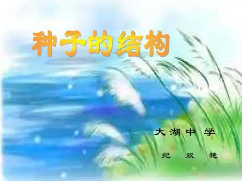 第三单元第一章第二节 种子植物2