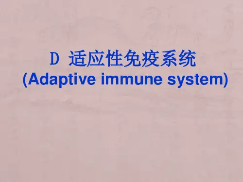 适应性免疫系统