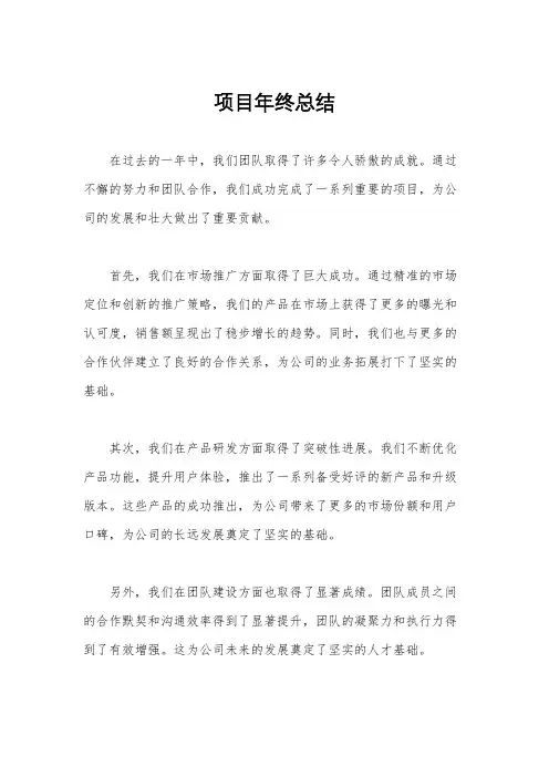 项目年终总结