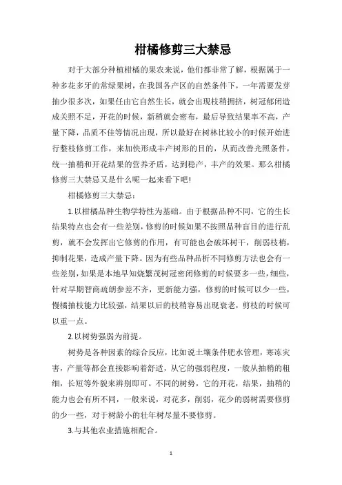 柑橘修剪三大禁忌