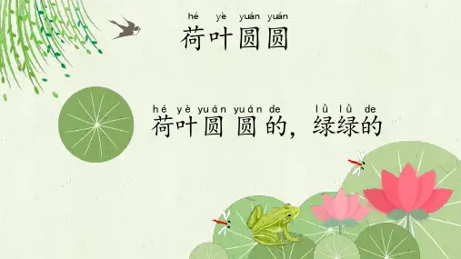 【推荐】荷叶圆圆 课件(共17张PPT)