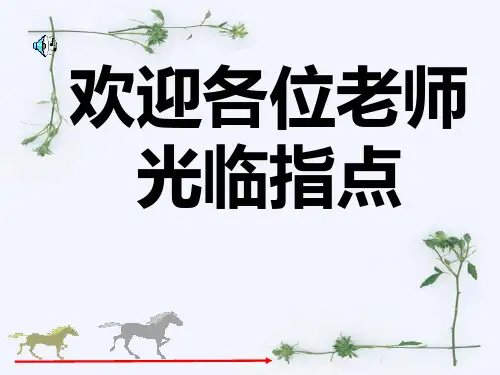 1.6有理数的乘方PPT课件(沪科版)