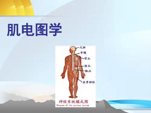 肌电图学