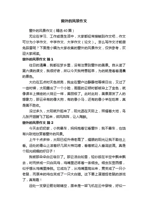 窗外的风景作文（精选40篇）