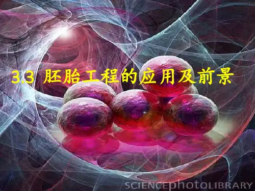 高中生物选修三3.3 胚胎工程的应用及前景