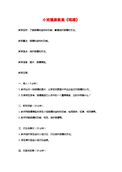 小班健康教案《眼睛》 (2)