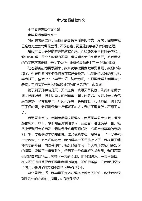 小学暑假感悟作文