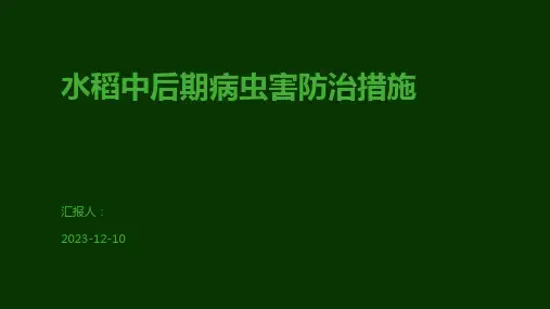 水稻中后期病虫害防治措施